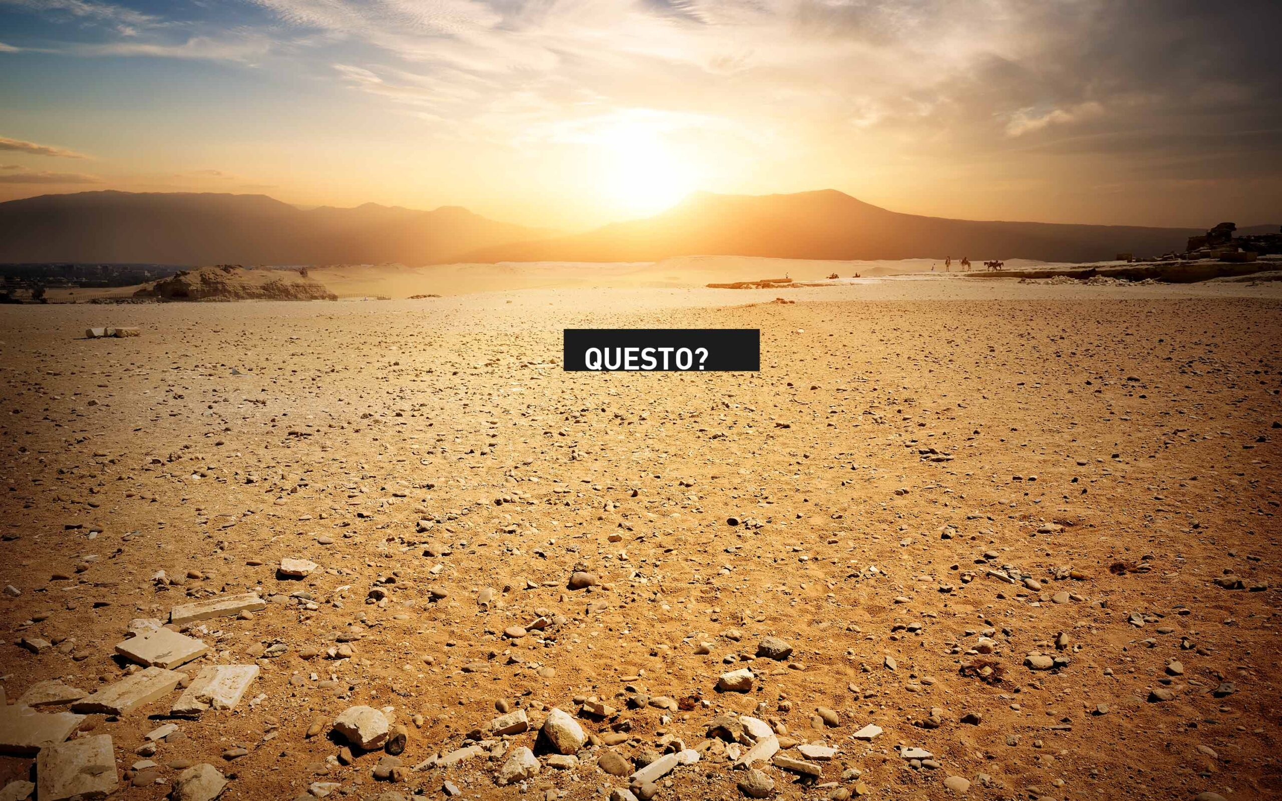 Libraccio Rossetti brand design s8