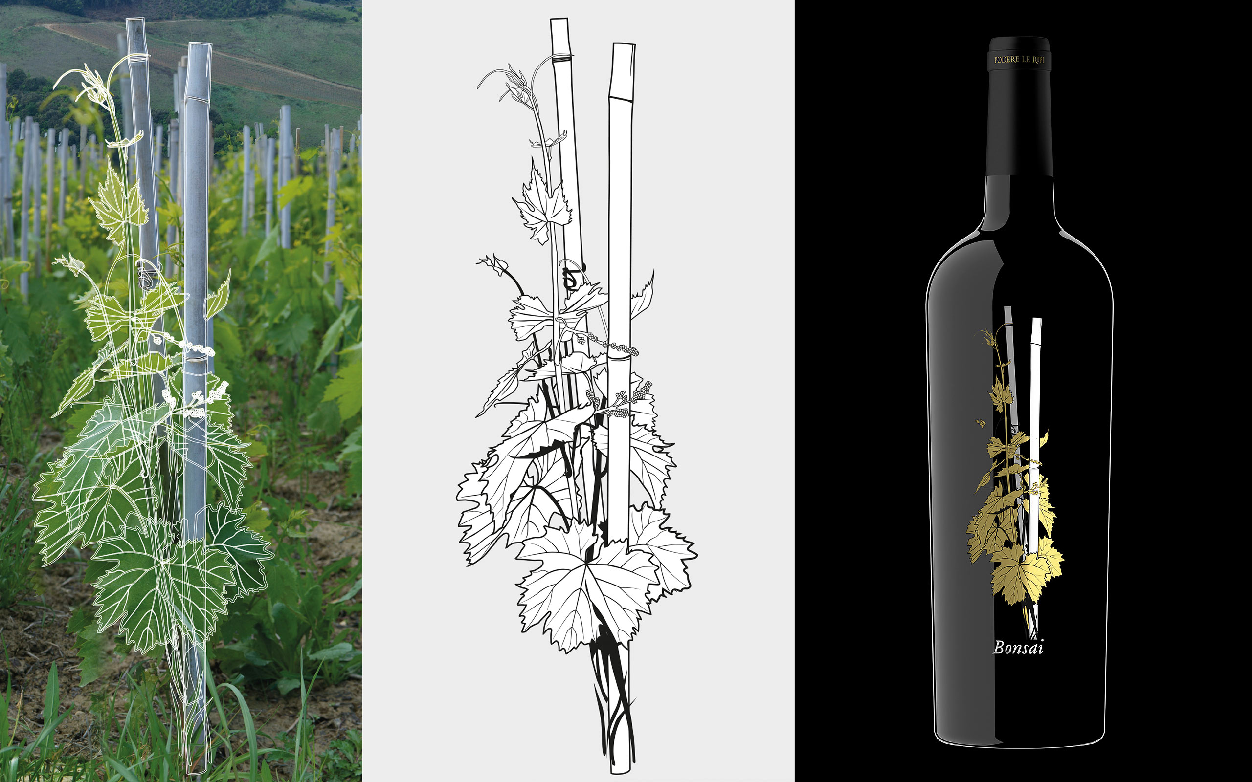 PodereRipi Bonsai label