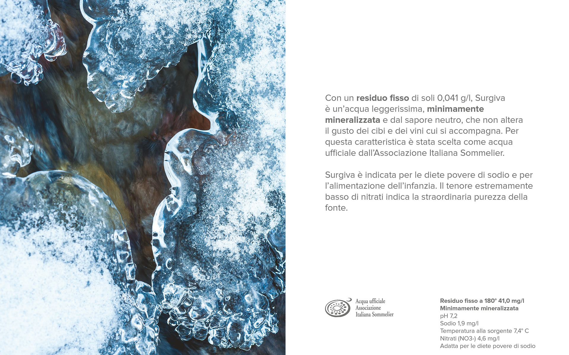 Surgiva Rossetti brand design c