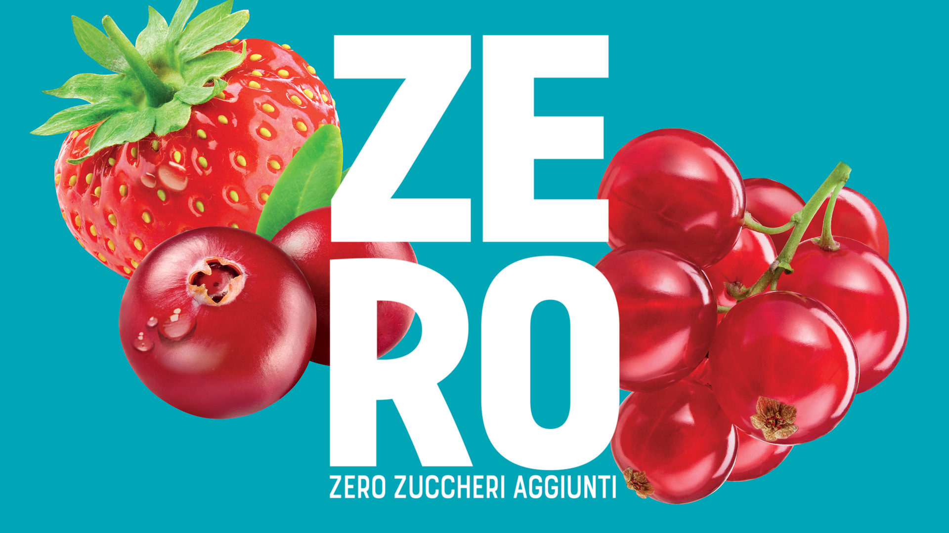 Santa Rosa Zero Rossetti brand design d
