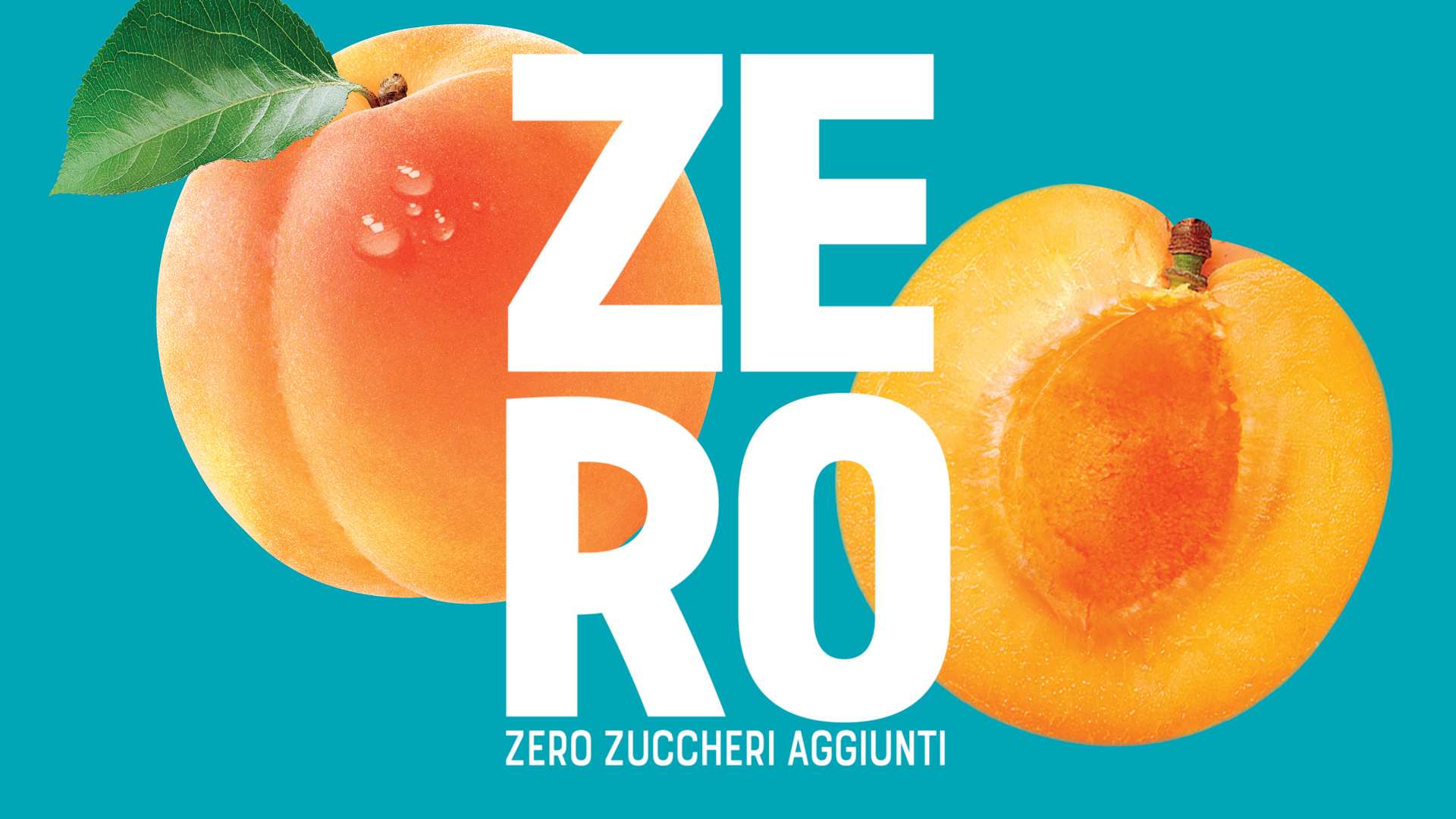 Santa Rosa Zero Rossetti brand design e