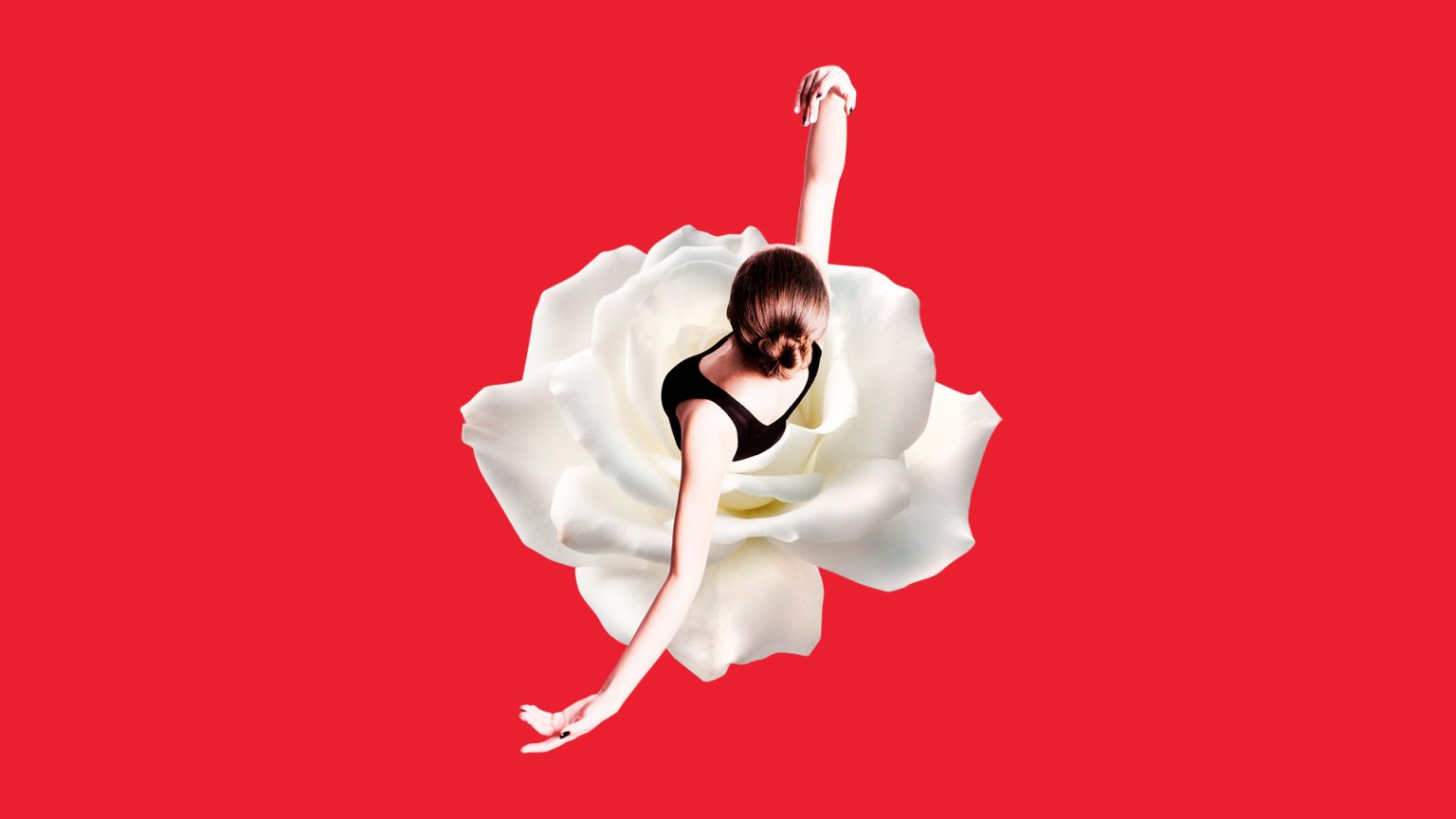 Festival  Nervi 25 Rossetti Brand Design